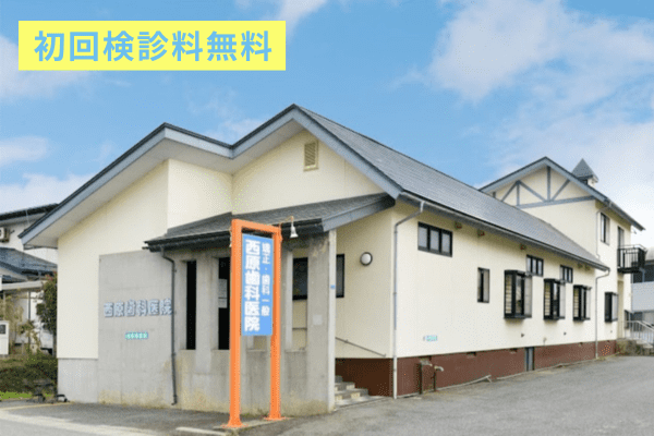 医療法人　西原歯科医...の院内写真